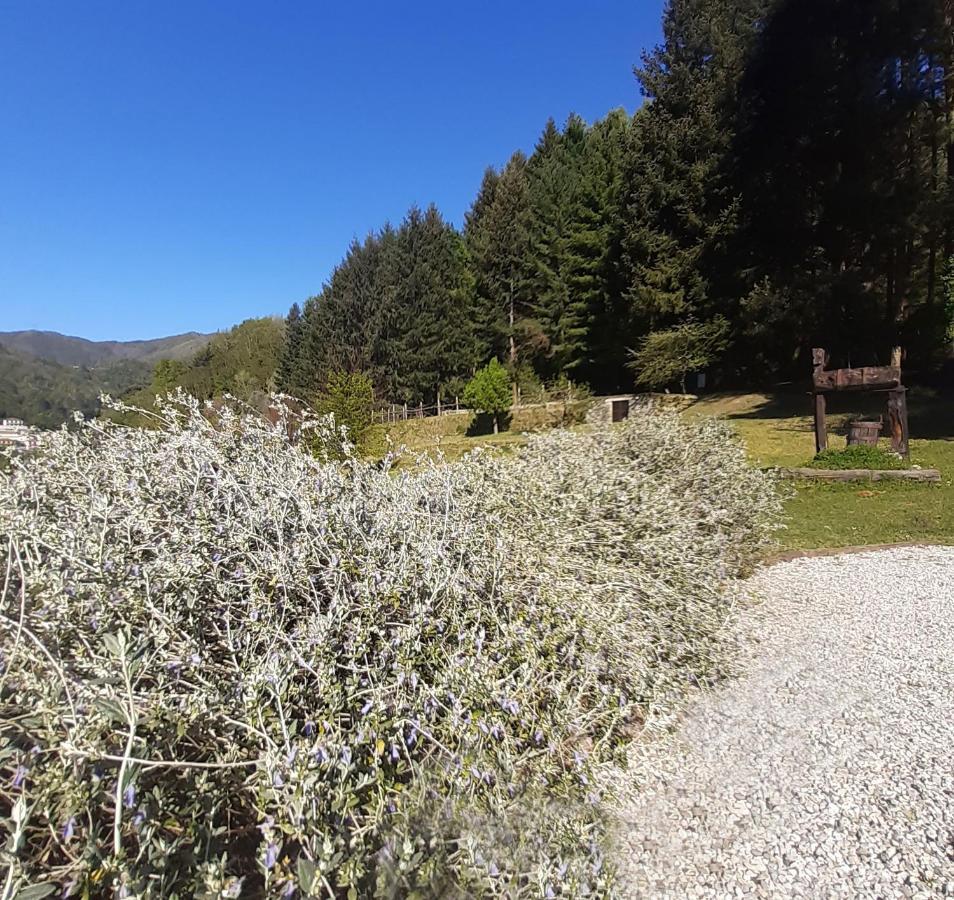 Il Bosco Di Campo Marzano Green & Sky Borzonasca Eksteriør bilde